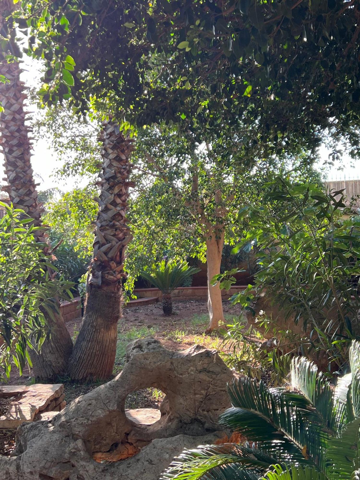 Guest house B&B Alelida